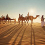 myabudhabidesertsafari