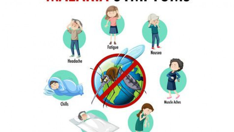 How Malaria Spreads and What You Can Do to Prevent It