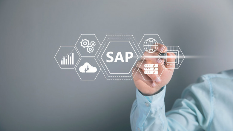 What Are The User Types In SAP?