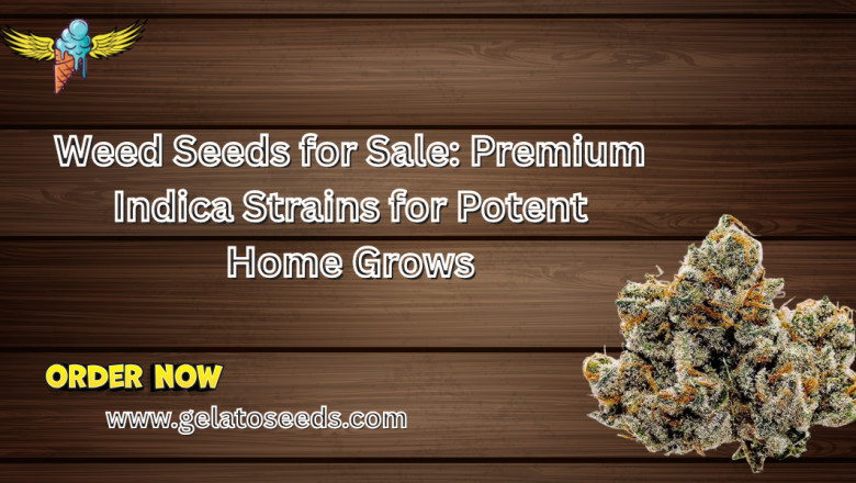 Weed Seeds for Sale: Premium Indica Strains for Potent Home Grows
