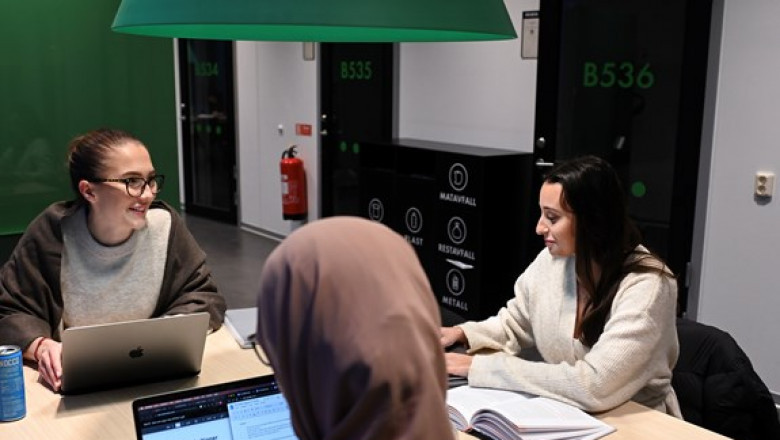 The Rise of Essay Writing Services: A Lifeline for Modern Students