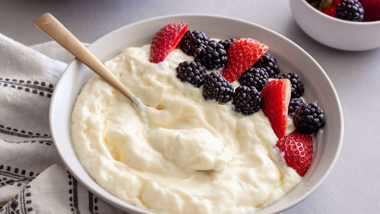 Report on Greek Yogurt Manufacturing Plant Detailing Business Plan, Cost Analysis and Material Requirements