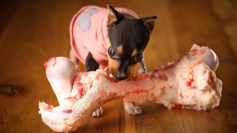 Chicken Necks For Dogs: A Natural Treat Packed With Nutritional Power