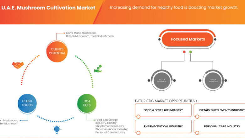 U.A.E. Mushroom Cultivation Market: Growing Sustainable Agriculture with High-Value Fungi Production