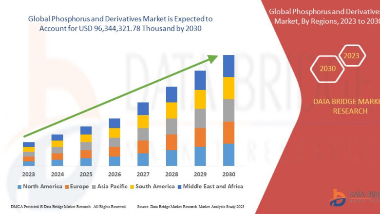 Phosphorus and Derivatives Market: Size, Share, and Future Opportunities