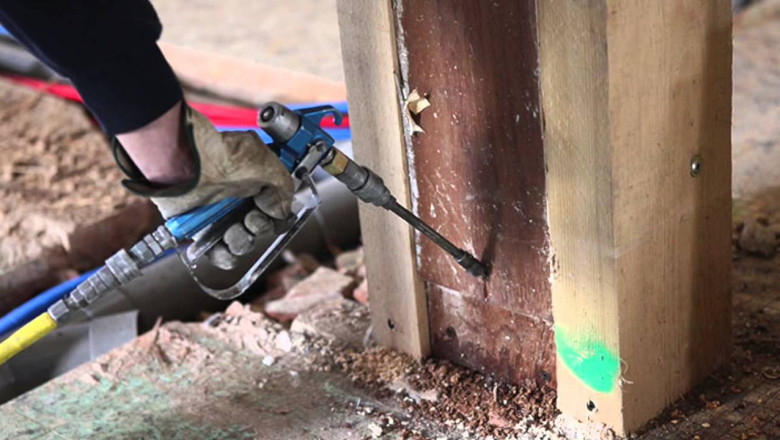 What Type of Termite Treatment Is Best?