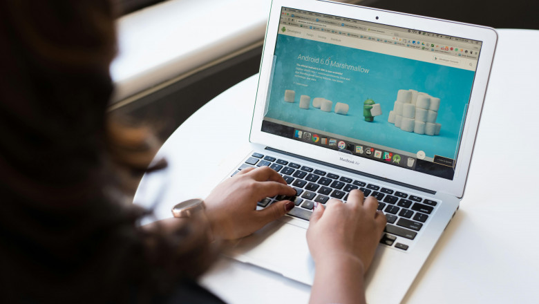 Fast, SEO-Optimized Web Development – Yamuna Bank