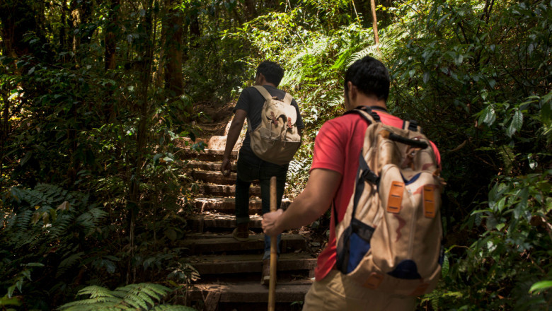 How to Plan the Perfect Tambopata Jungle Tour