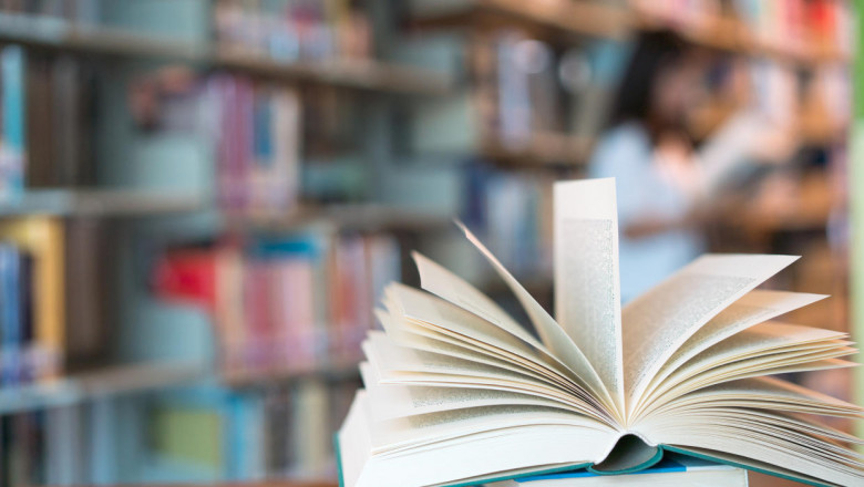 Top Book Publishers Embrace Romantasy: Craze Sparked by BookTok Readers