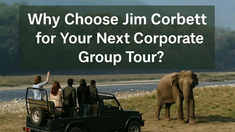 Why Choose Jim Corbett for Your Next Corporate Group Tour?