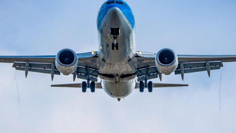Delta Airlines Reservation Policy: A Guide to Delta Basic Cancellation Rules