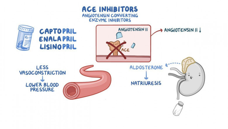 Angiotensin Converting Enzymes (ACE) Inhibitors Market Size, Trends, and Growth Forecast 2025-2032