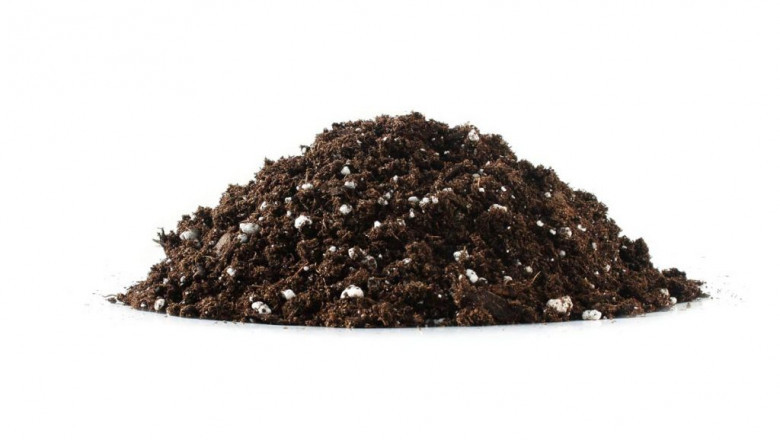 Potting Soil Market Size, Trends, and Growth Forecast 2025-2032