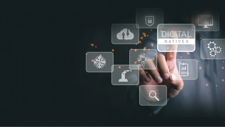 Empowering Businesses with IT Development Solutions in Delhi