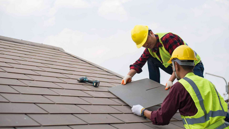 L’importance de la pose de Velux pour optimiser la lumière naturelle chez vous