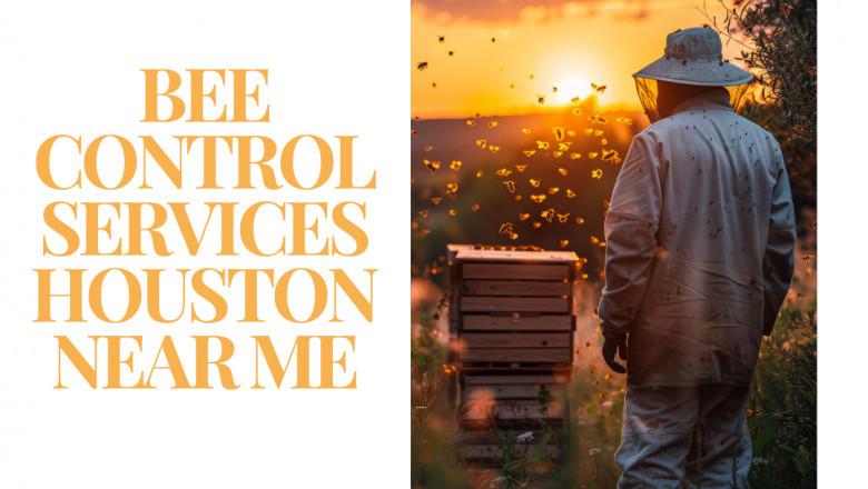 Reliable Bee Control Services in Houston Near You