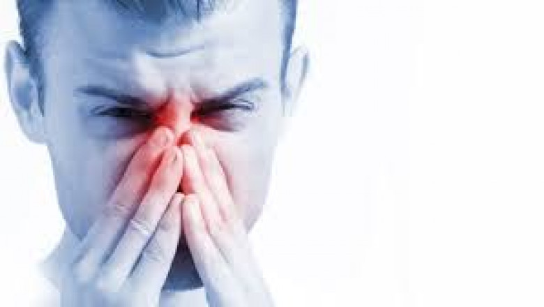 Allergic Rhinitis Treatment Market: Industry Size, Segments, and Growth Strategies