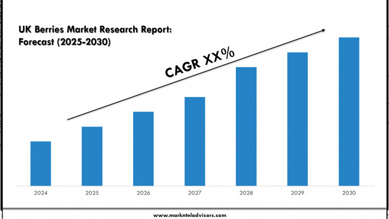 UK Berries Market Overview with Growth Insights