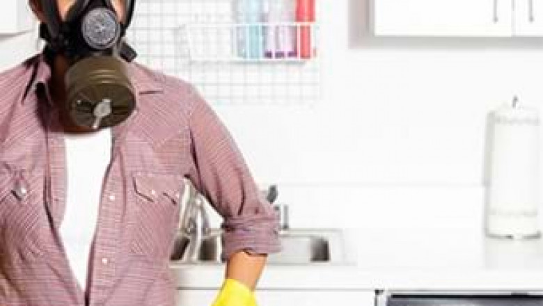 Creating Mold-Free Living Spaces with Professional Care