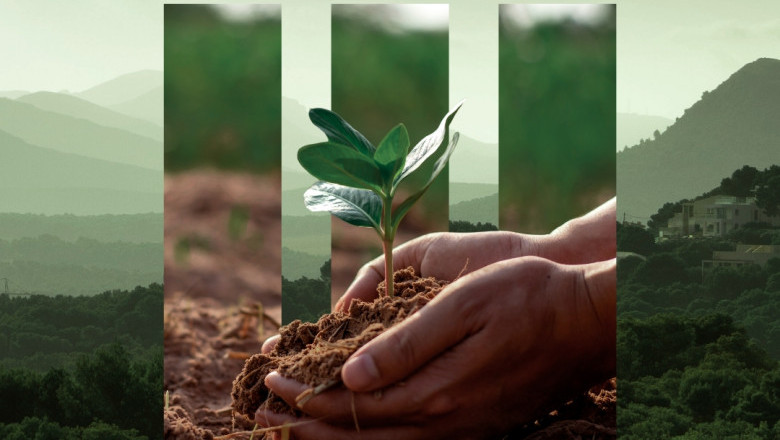 Cleaner Future: Oman's Environmental Monitoring Initiatives Take Hold