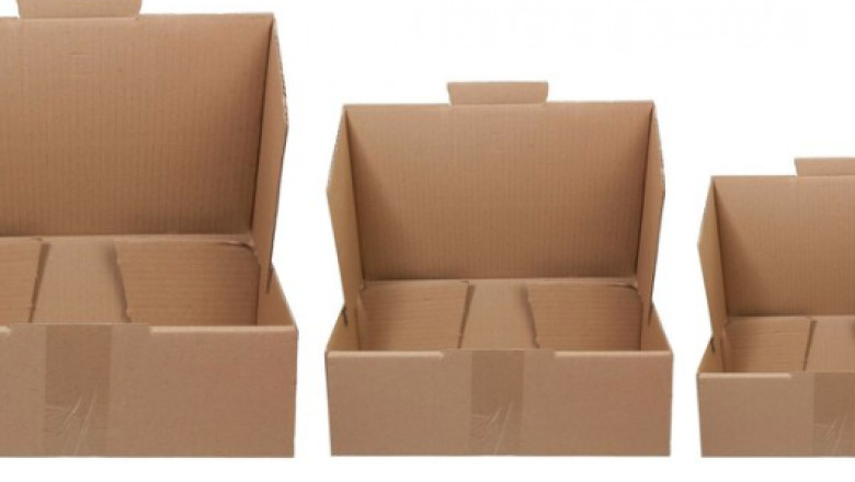 Corrugated Board Packaging Market Key Segments and Investment Trends, 2025–2032