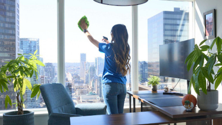Professional Cleaning Services