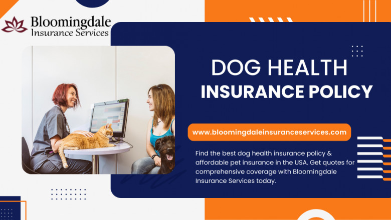 Protect Your Pet with a Dog Health Insurance Policy | Bloomingdale Insurance Services