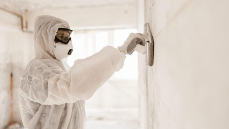 Reliable Mold Removal & Remediation – Keep Your Home Safe & Healthy