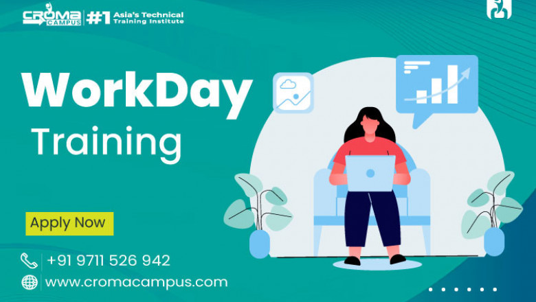 Understanding the Workday Modules