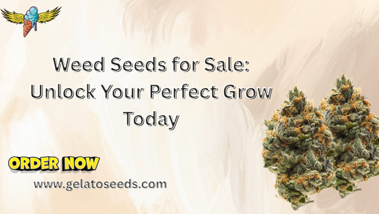 Weed Seeds for Sale: Unlock Your Perfect Grow Today