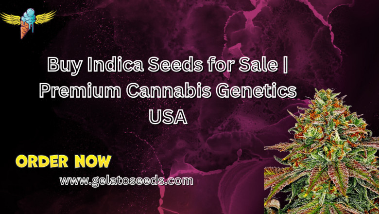 Buy Indica Seeds for Sale | Premium Cannabis Genetics USA