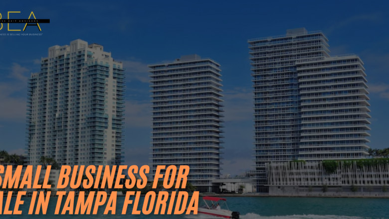 Find the Right Small Business for Sale in Tampa Florida with Expert Help from Business Sales Broker