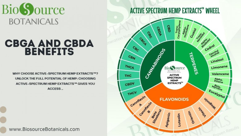 Exploring the Benefits of CBGa and CBDa: Powerful Hemp Compounds