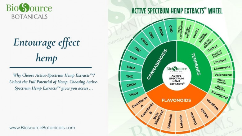 The Power of the Entourage Effect: How Active Spectrum Hemp Extracts Are Redefining Wellness