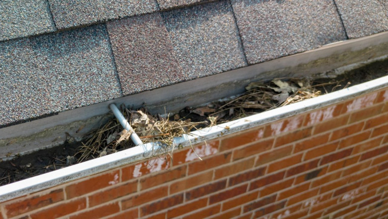 Seasonal Gutter Maintenance Tips for Homeowners