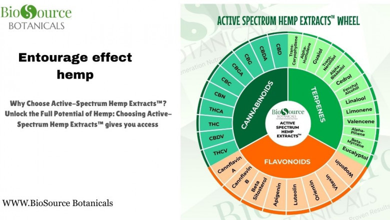 Discover the Entourage Effect: Why Active Spectrum Hemp Is Your Wellness Ally