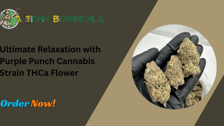 Ultimate Relaxation with Purple Punch Cannabis Strain THCa Flower