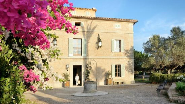 Coaching Retreat Mallorca: Reset, Refocus, Reignite