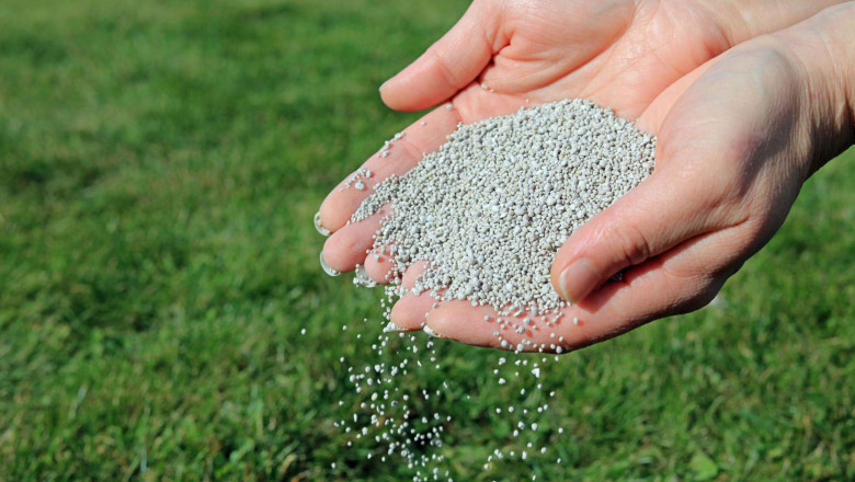 Lawn Love Without the Chemicals: Create Your Own DIY Fertilizer Routine