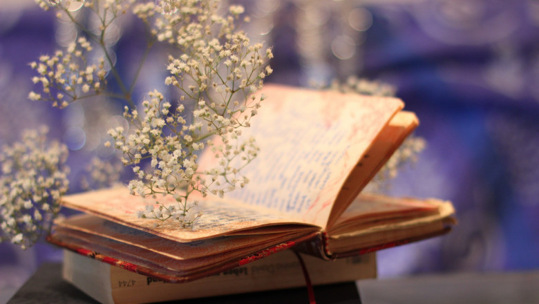 Brandon A. Willis Books: A Journey of Inspiration and Impact