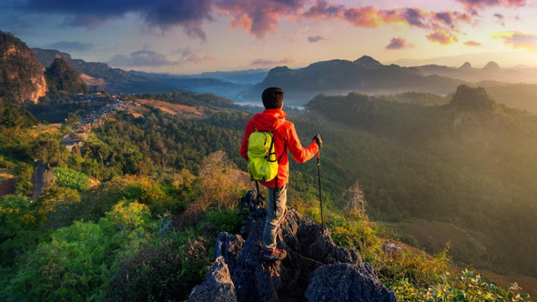Best Time to Visit Kerala: Seasonal Guide for Travelers