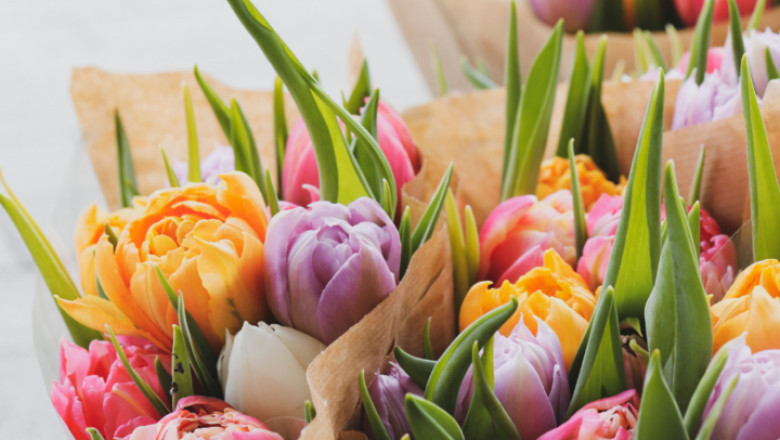 Floral Gifting Redefined: A Guide to Choosing the Perfect Blooms for Every Occasion