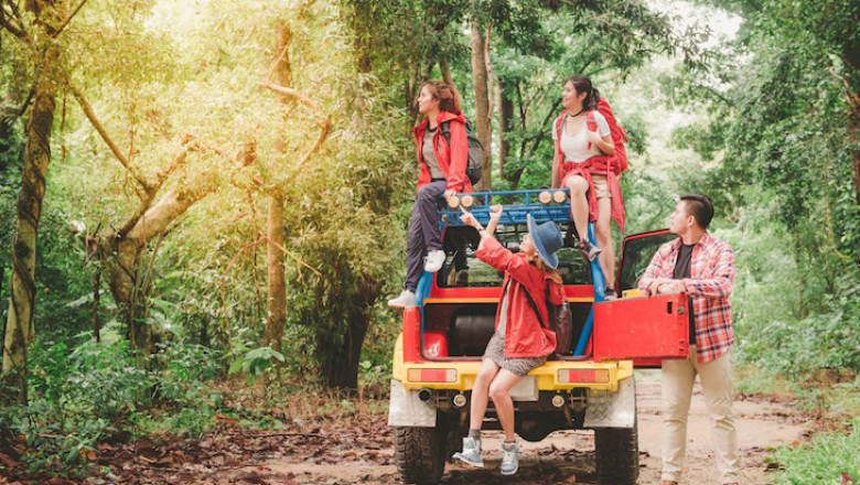 Gir National Park Travel Guide and Tips