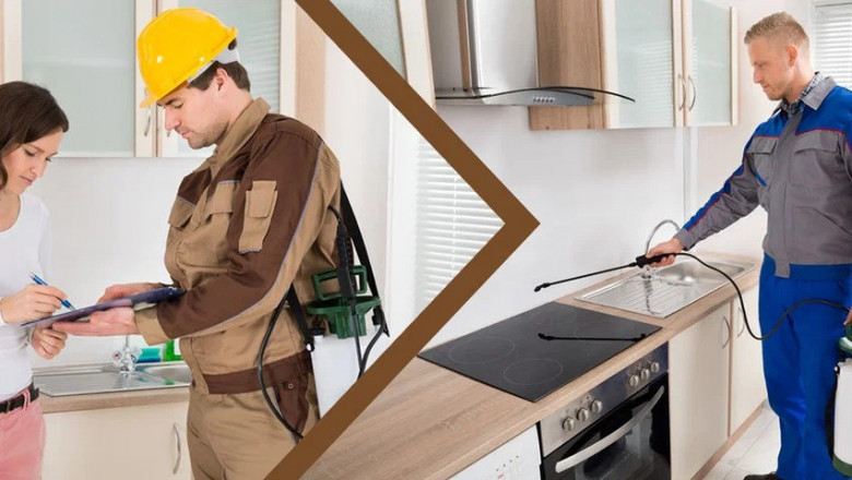 How Reliable Are Pest Control Services—and What Do Their Guarantees Really Mean?