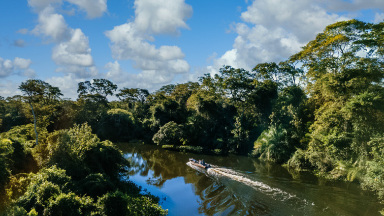 Why Peru Amazon Jungle Tours Are Perfect for Nature Lovers