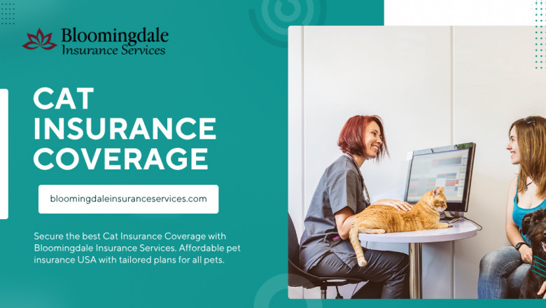 Cat Insurance Coverage: Protect Your Furry Friend with Bloomingdale Insurance Services