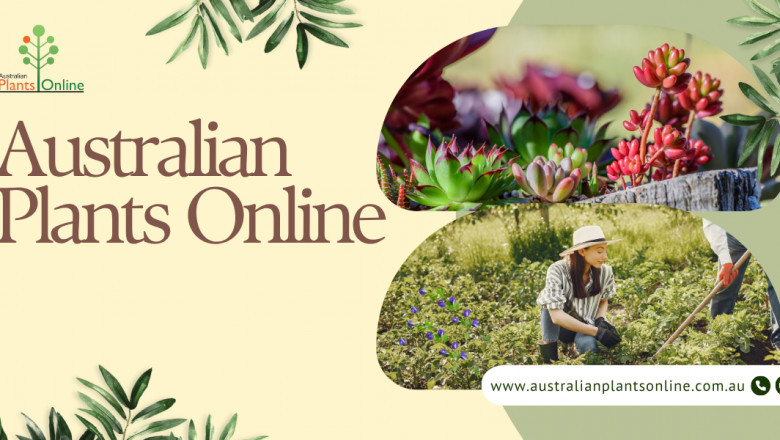 Why Garden Express Is Every Gardener’s Best Friend