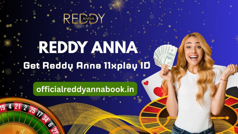 How Reddy Anna is Transforming the Digital Sports Experience