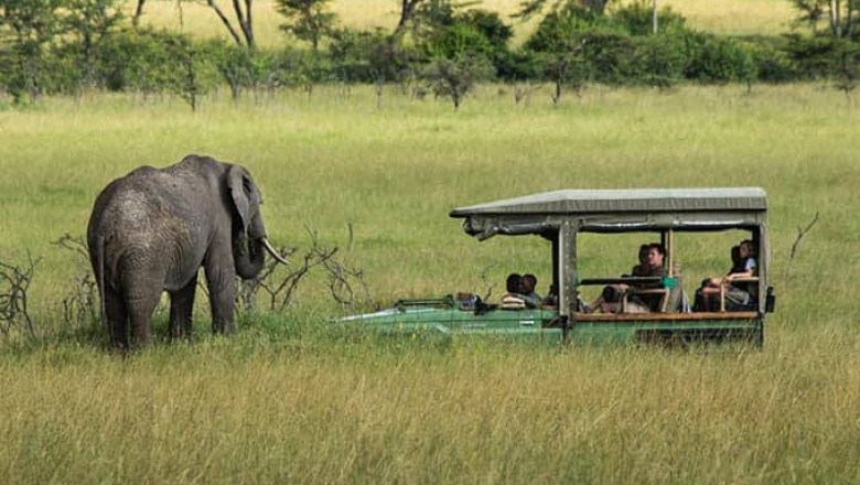 Top 7 Reasons to Stay at a Luxury Camp in Masai Mara in 2025
