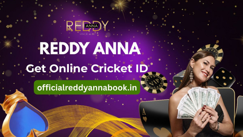 Why Sports Fans Are Choosing Reddy Anna for a Seamless Digital Experience